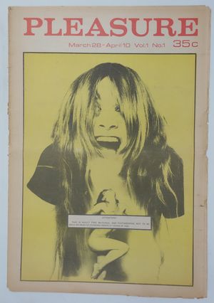 Underground Newspaper PLEASURE Vol 1 No 1 East Underground NYC Sex Papers