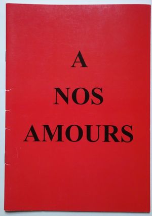 OOP Pogo Books #004 A Nos Amours Michael J. DeMeo &amp; Ariane Geffard Photo Zine Rare Photography Books