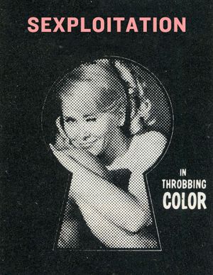 Sexploitation Digi Compilation Vol 1 - 60s Exploitation Films Boys in the Sand Wakefield Poole 