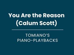 You Are the Reason (Calum Scott) - Piano Playback
