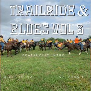 Trailride and Blues 3 Beataholic (40 edits)