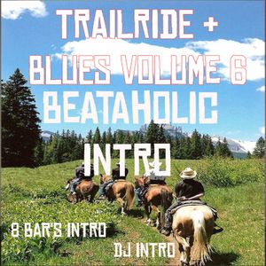 Trailride &amp; Blues 6 Beataholic (40 edits)