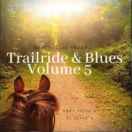 Trailride &amp; Blues 5 Beataholic ( 40 edits)