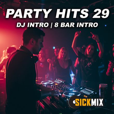 Party Hits 29 (40 edits)