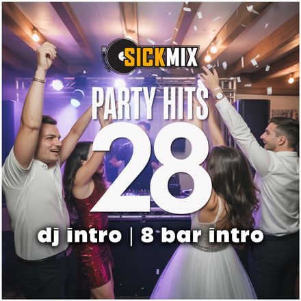 Party Hits 28 (40 edits)