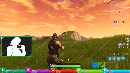 ✅LVL 100 FORTNITE -  STREAM OVERLAY