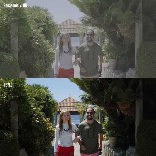TEYLU: 3 x LUT CUSTOM GRADING PACK