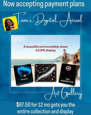TANI'S DIGITAL AERIAL ART GALLERY PAYMENT PLAN 
