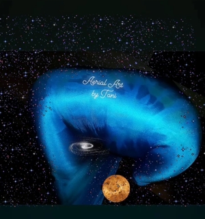 Aerial Art by Tani ®️™️- Wombman