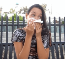 Theme #8 - Hayfever season - May '26