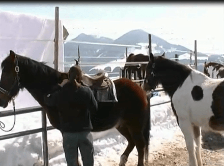 Horse Riding Accident