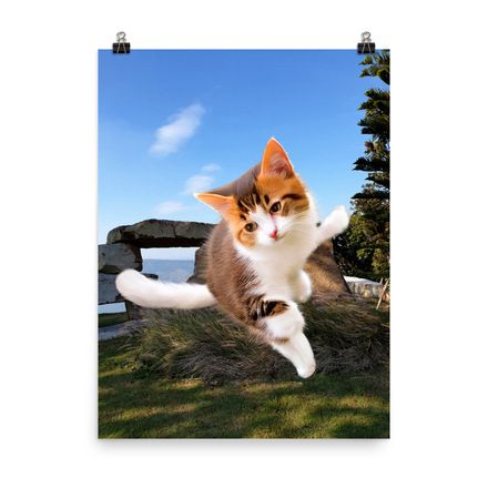 Cute &amp; Adorable Cat Wall Art Poster – 18&quot;x24&quot;, 400dpi, Museum-Quality Enhanced Matte Paper – C1107