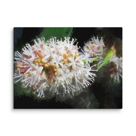 Night Blooming Dracaena Fragrans Canvas Print – 24&quot;x18&quot;, 400dpi, Hand-Stretched Art – DF119