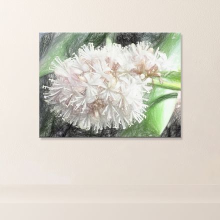 Night Blooming Dracaena Fragrans Canvas Print – 24&quot;x18&quot;, 400dpi, Hand-Stretched Art – DF139