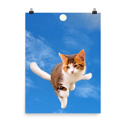 Cute &amp; Adorable Cat Wall Art Poster – 18&quot;x24&quot;, 400dpi, Museum-Quality Enhanced Matte Paper – C1108