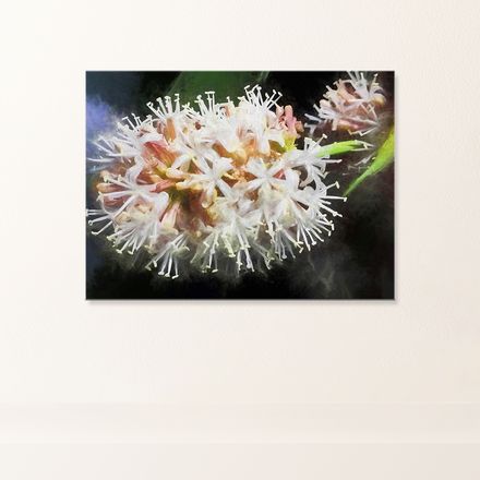 Night Blooming Dracaena Fragrans Canvas Print – 24&quot;x18&quot;, 400dpi, Hand-Stretched Art – DF101