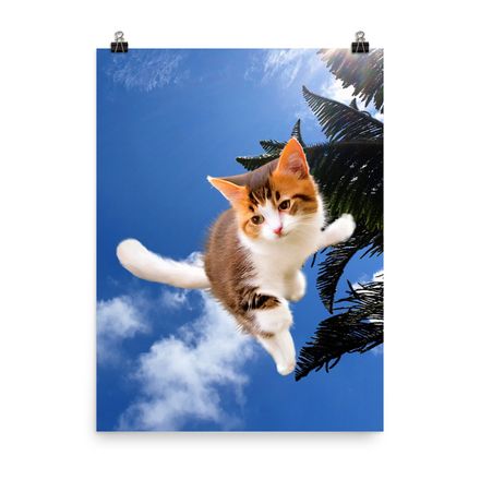 Cute &amp; Adorable Cat Wall Art Poster – 18&quot;x24&quot;, 400dpi, Museum-Quality Enhanced Matte Paper – C1102