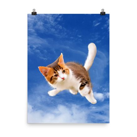 Cute &amp; Adorable Cat Wall Art Poster – 18&quot;x24&quot;, 400dpi, Museum-Quality Enhanced Matte Paper – C1105