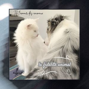 abonnements  Streaming  a volonté 