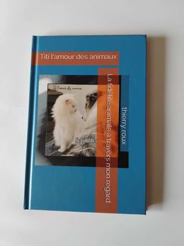 La fidélité animale à travers mon regard