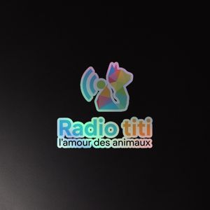 Kiss-Cut Holographic Stickers radio 