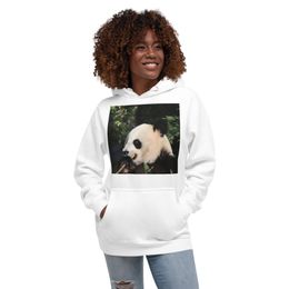 Unisex Premium Pullover Hoodie