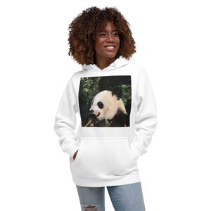 Unisex Premium Pullover Hoodie