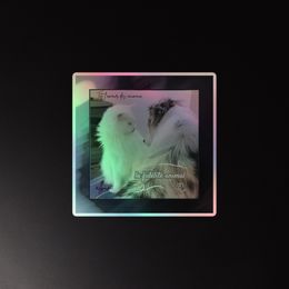 Kiss-Cut Autocollants Holographiques