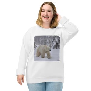   Unisex Organic Raglan Sweatshirt