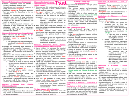 Criminal Law and Practice (SQE1)