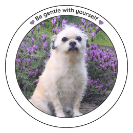 Be gentle with yourself - Monkey sticker