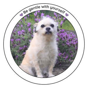 Be gentle with yourself - Monkey sticker