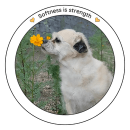 Softness is strength - Monkey sticker