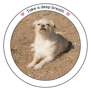 Take a deep breath - Monkey sticker