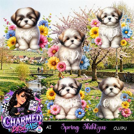 CD- Spring Shihtzus