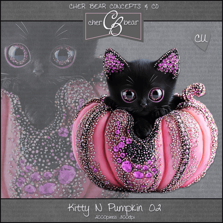 CB - Kitty N Pumpkin 02