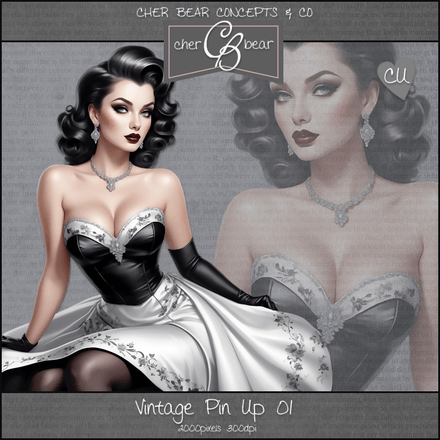 CB - Vintage Pin Up 01