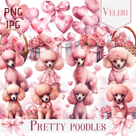 Veleri - Pretty poodles - AI
