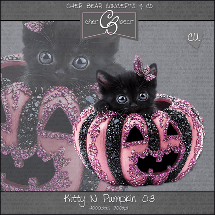 CB - Kitty N Pumpkin 03