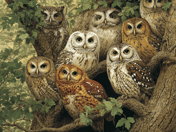 Just Some Owls