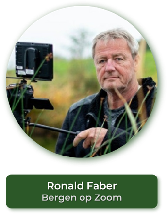 Ronald Faber