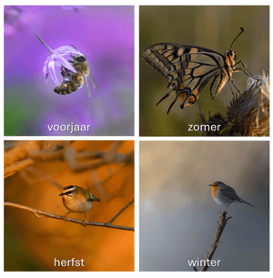 Seizoensabonnement (⭐ 5 min. presentatie)