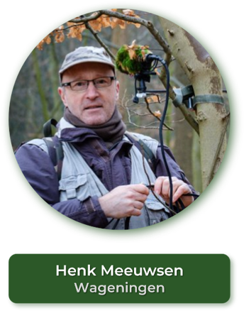 Henk Meeuwsen