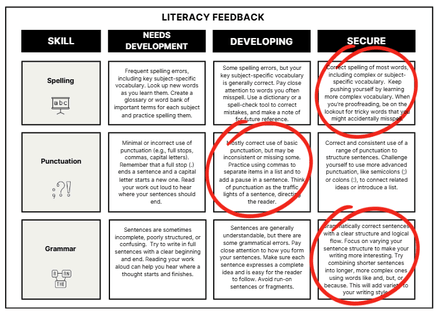 Literacy Feedback Rubric