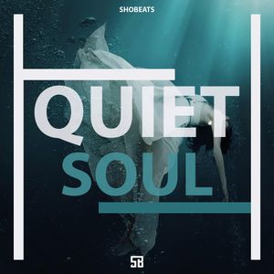 QUIET SOUL (SOUL TRAP)