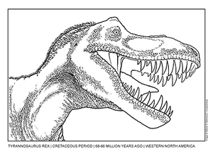 Tyrannosaurus rex headshot coloring page