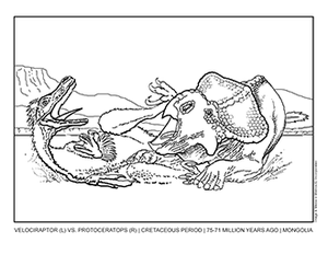 Djadokhta Dueling Dinos: Velociraptor vs Protoceratops coloring page