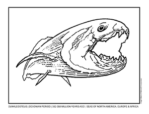 Dunkleosteus coloring page