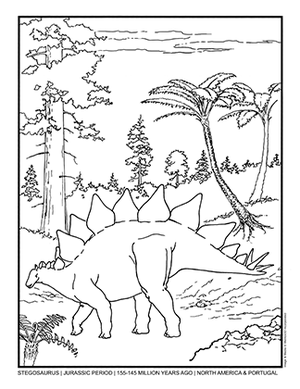 Stegosaurus coloring page