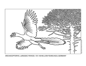 Archaeopteryx coloring page